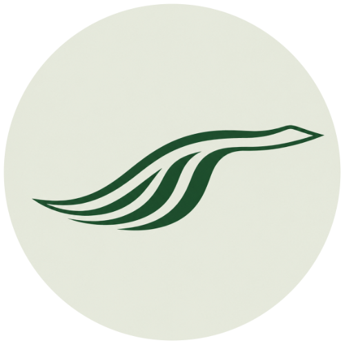 Dauergrabpflege