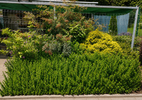 Bienengarten
